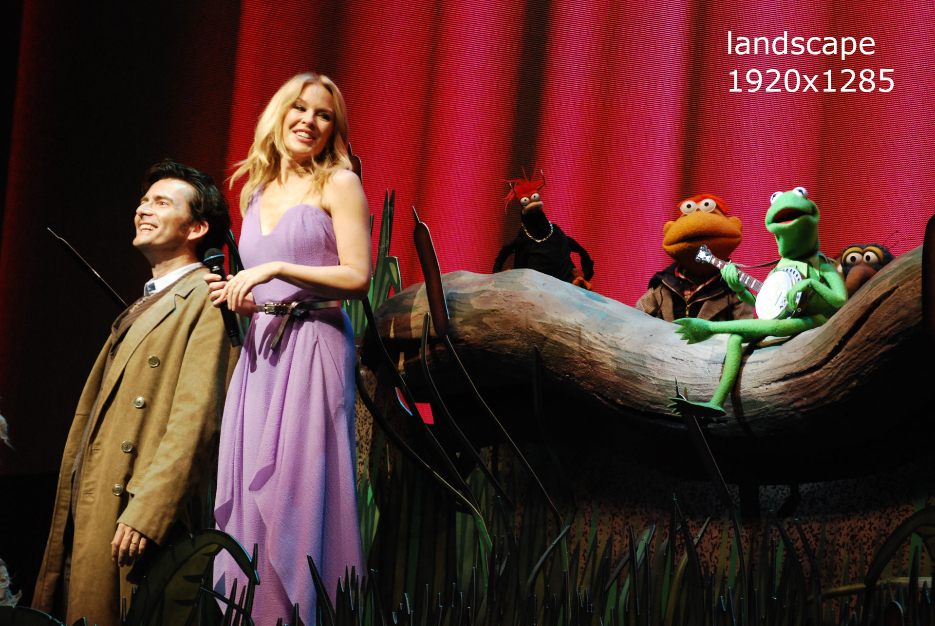 Responsive Image Examples by ZOODUCK on 23 September 2018